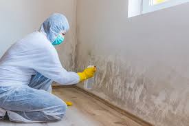 Best Black Mold Removal  in Gates Mills, OH